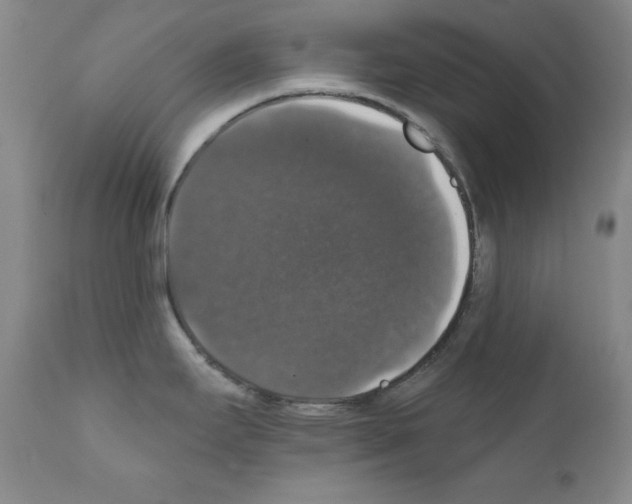 X0000111801295200909031220
