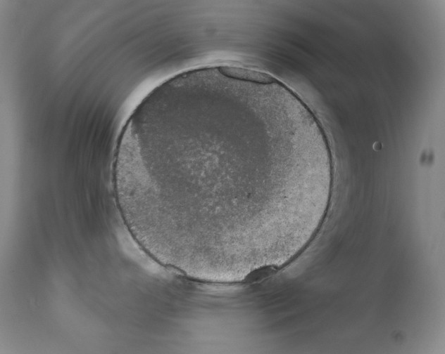X0000111801296200909031220