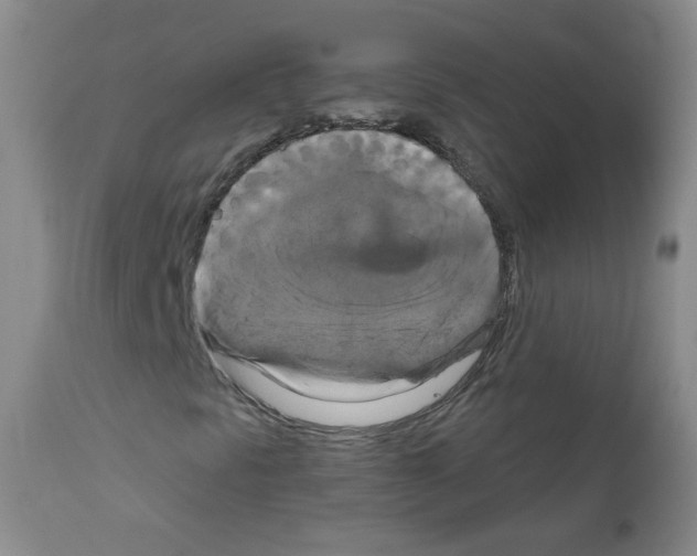 X0000111801297200909031219