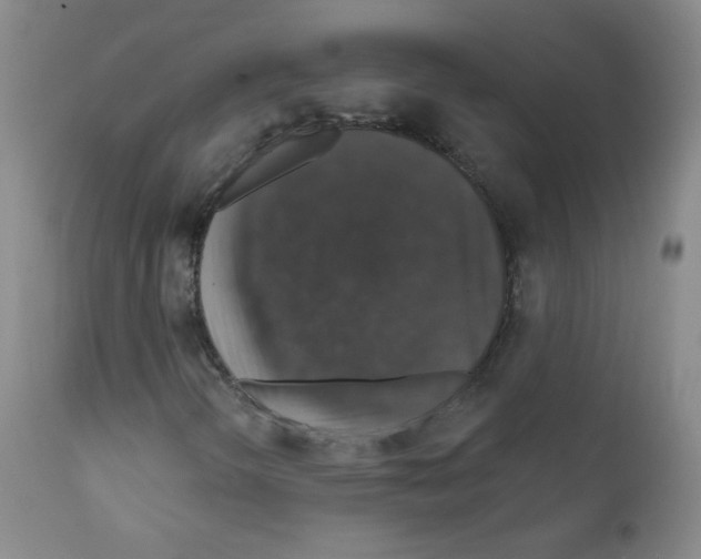 X0000111801298200909031219