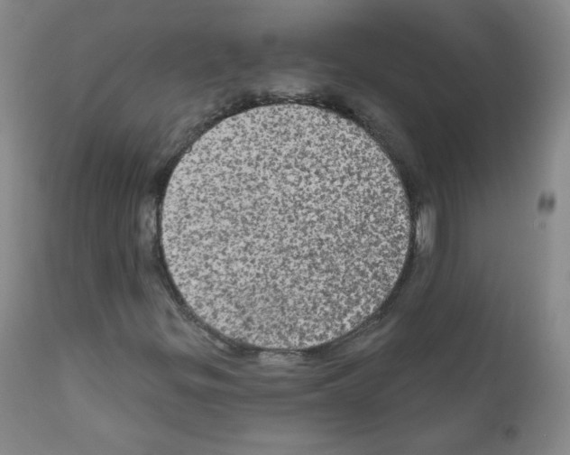 X0000111801299200909031219