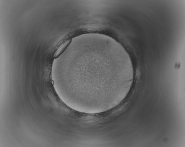 X0000111801300200909031219