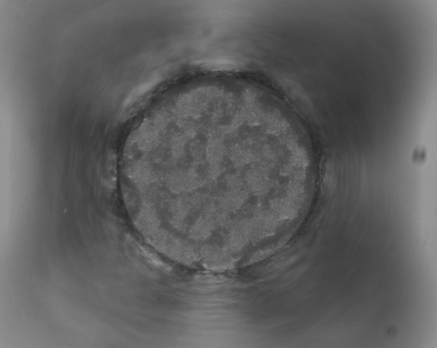 X0000111801301200909031219