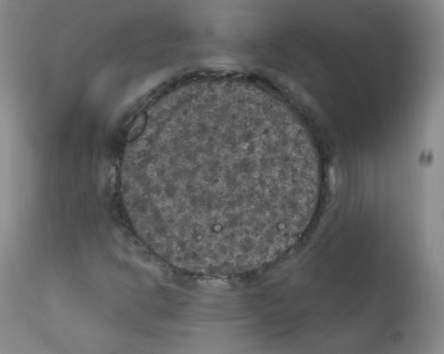 X0000111801302200909031219