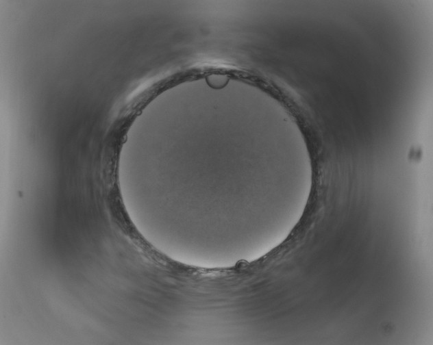 X0000111801303200909031219