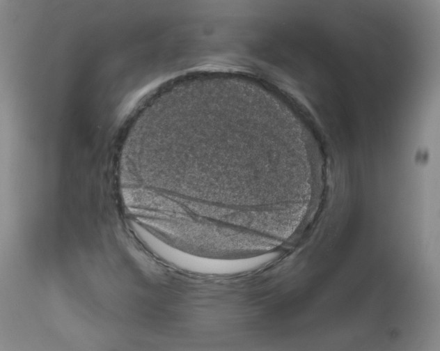 X0000111801304200909031219