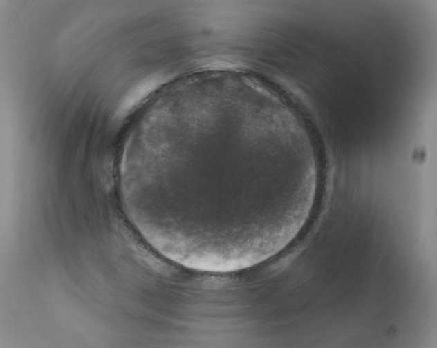 X0000111801306200909031219