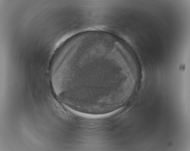 X0000111801308200909031219