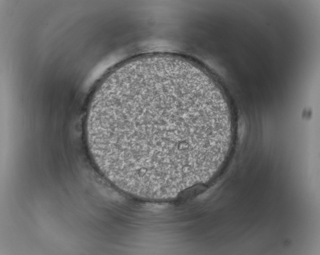 X0000111801309200909031219