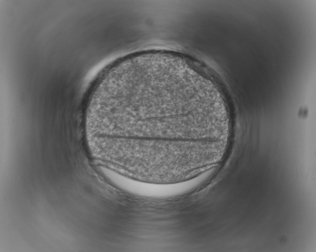 X0000111801310200909031219
