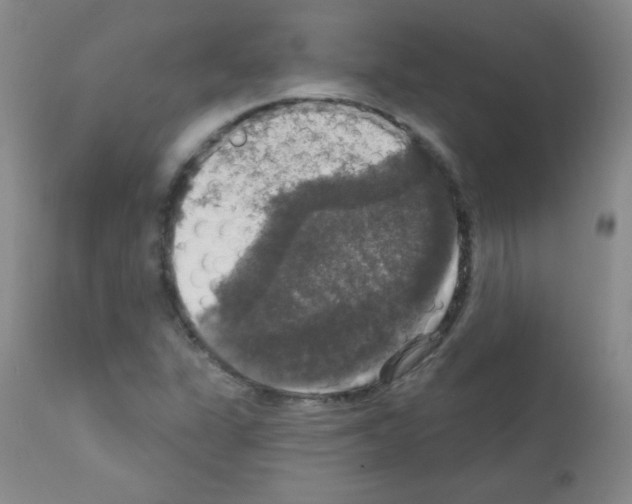 X0000111801311200909031219