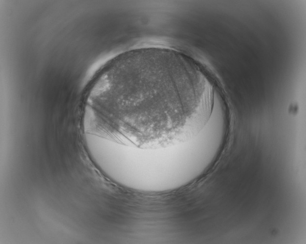 X0000111801312200909031219