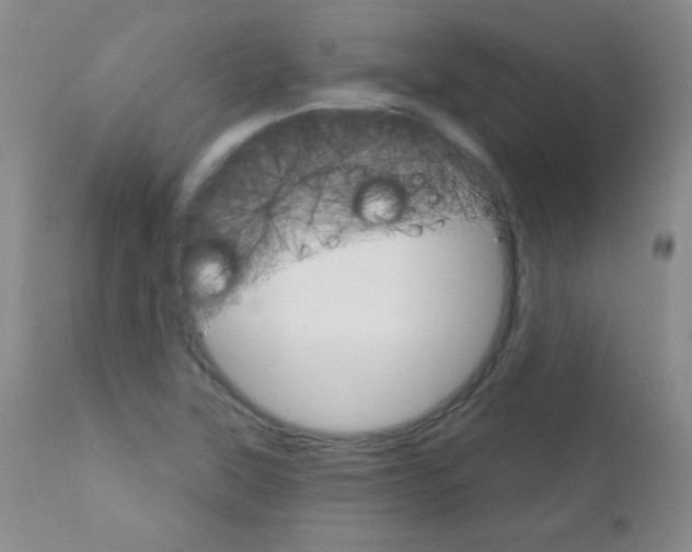 X0000111801315200909031220
