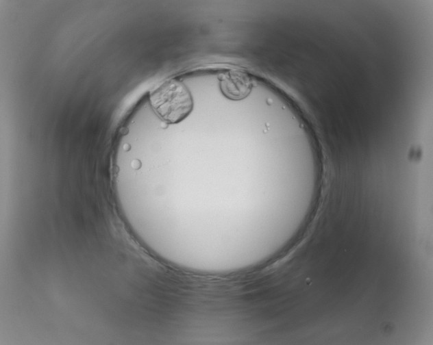 X0000111801317200909031220