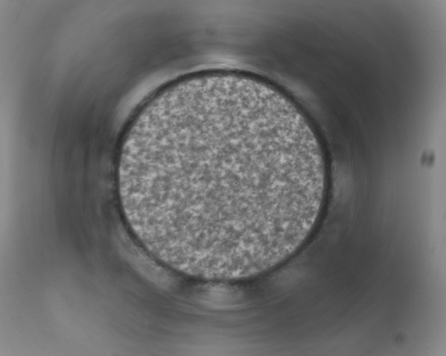 X0000111801318200909031220
