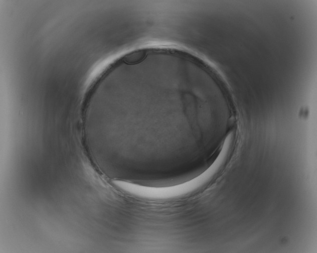 X0000111801319200909031220