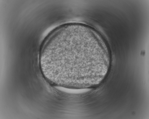 X0000111801320200909031220