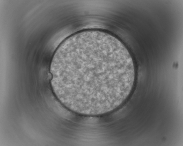 X0000111801321200909031220