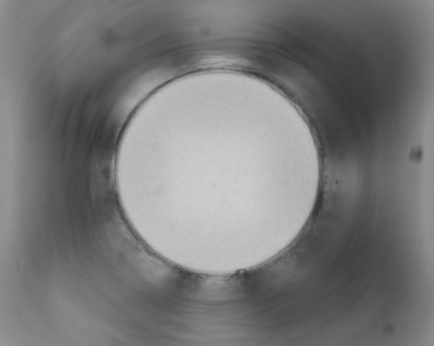 X0000111801322200909031220