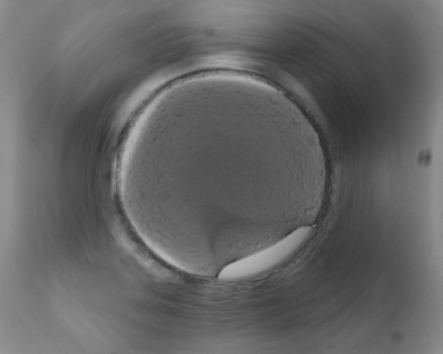 X0000111801323200909031220