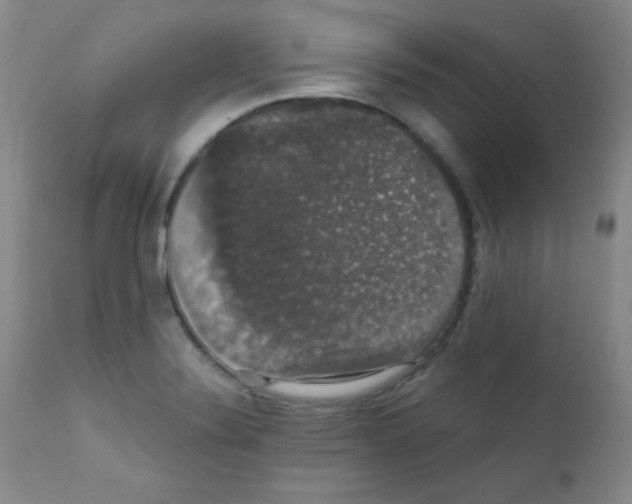 X0000111801324200909031220