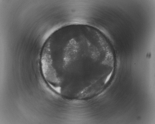 X0000111801325200909031220