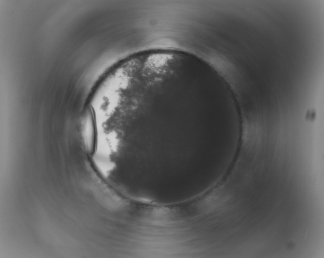 X0000111801326200909031220