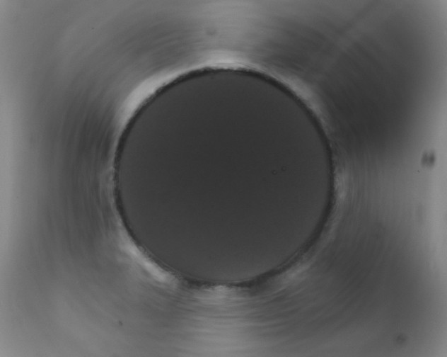X0000111801327200909031220