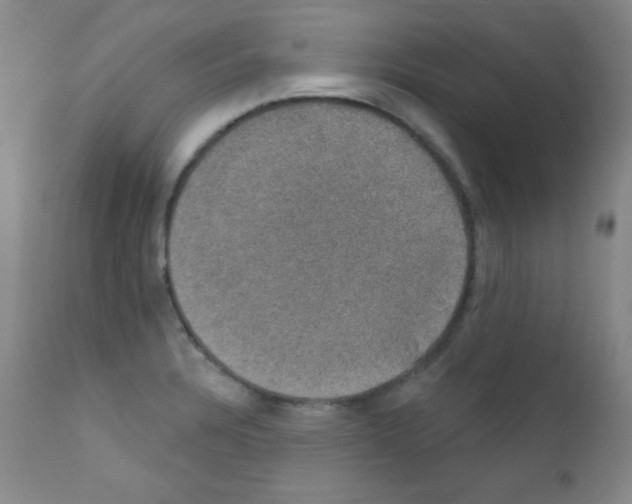 X0000111801328200909031220