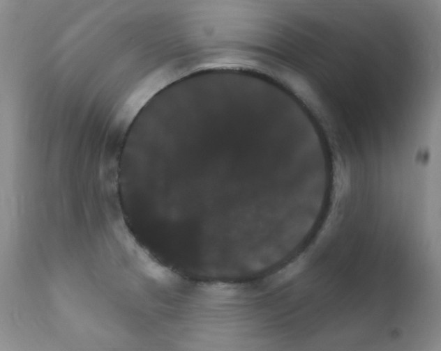 X0000111801329200909031220