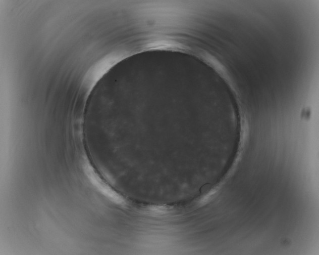 X0000111801330200909031220