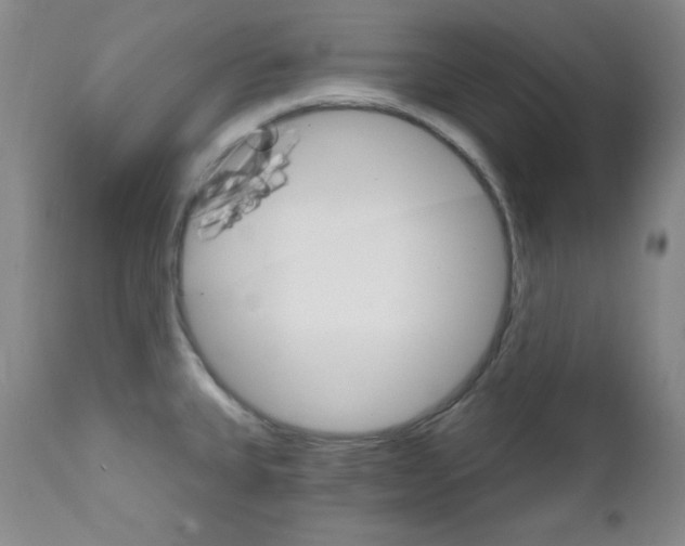 X0000111801335200909031220