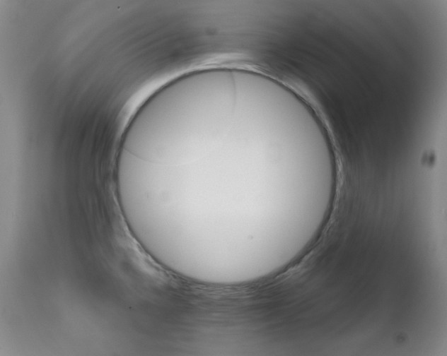 X0000111801336200909031220