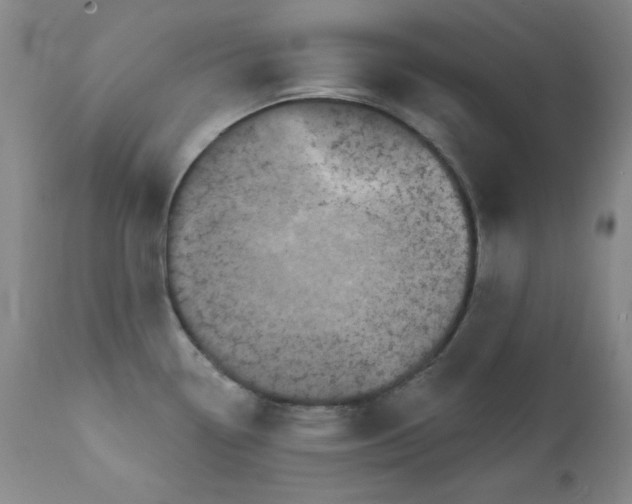 X0000111801338200909031220