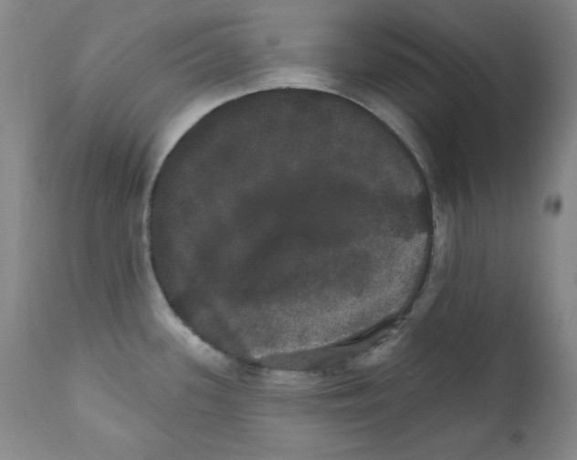 X0000111801339200909031220