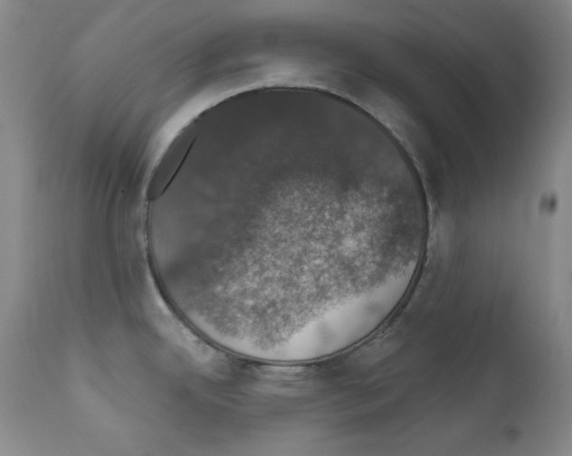 X0000111801342200909031220