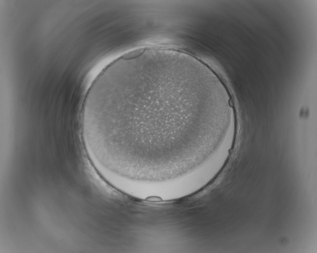 X0000111801344200909031220