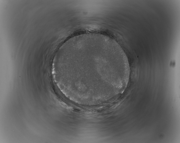X0000111801345200909031219