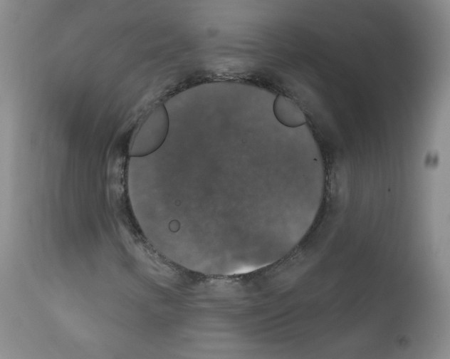 X0000111801346200909031219
