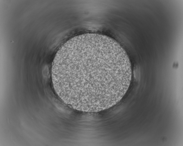 X0000111801347200909031219