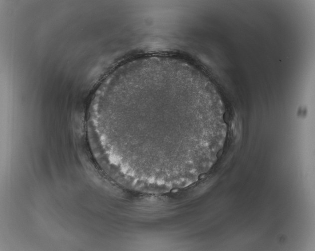 X0000111801348200909031219