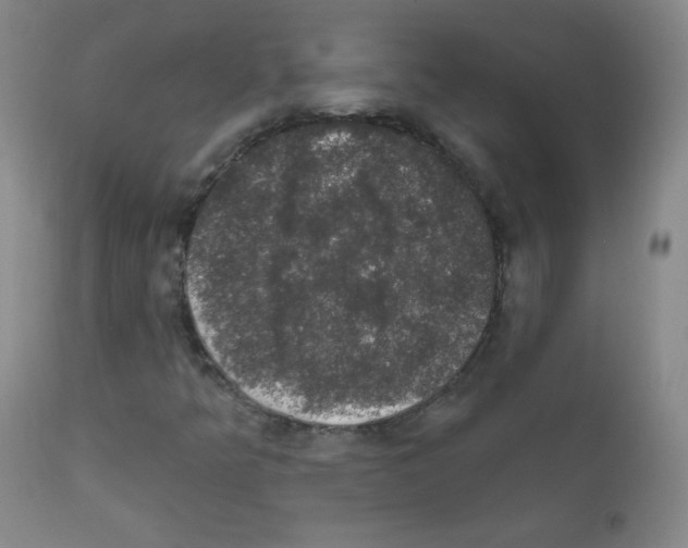 X0000111801349200909031219