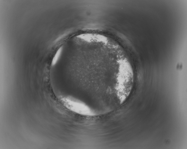 X0000111801350200909031219