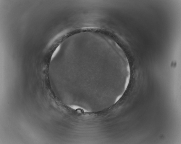 X0000111801351200909031219