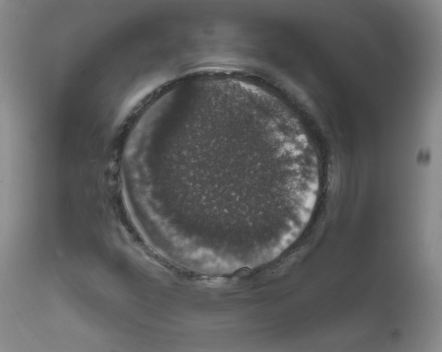 X0000111801352200909031219
