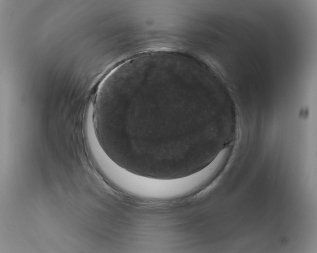 X0000111801353200909031219