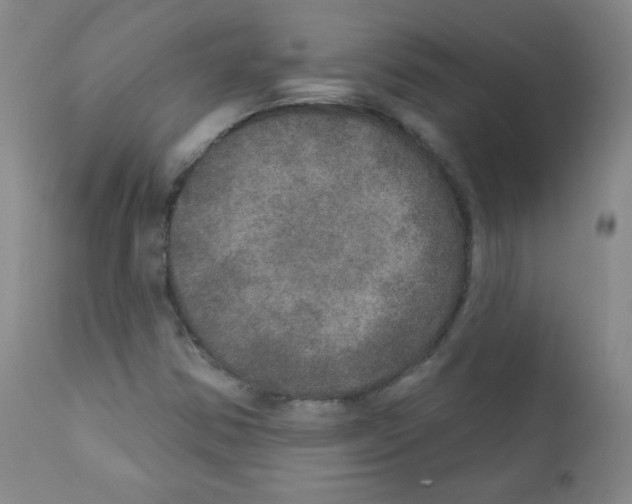 X0000111801354200909031219