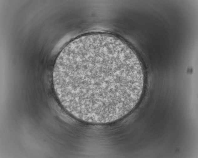 X0000111801355200909031219