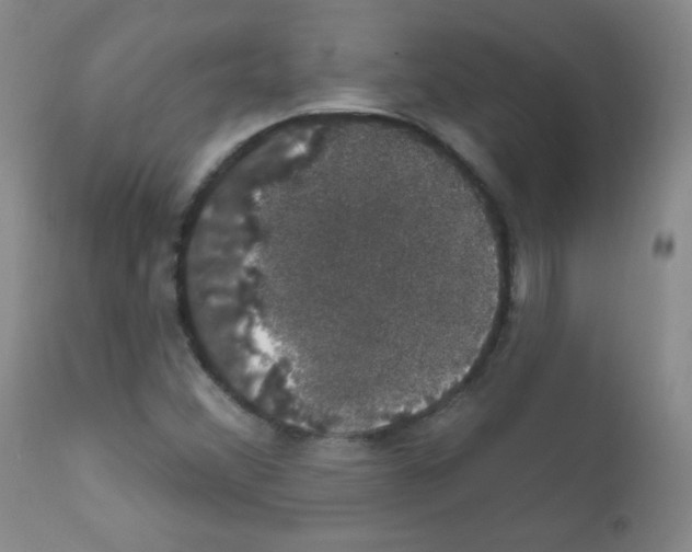 X0000111801356200909031219