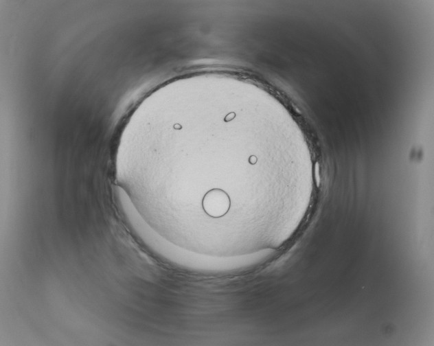 X0000111801357200909031219